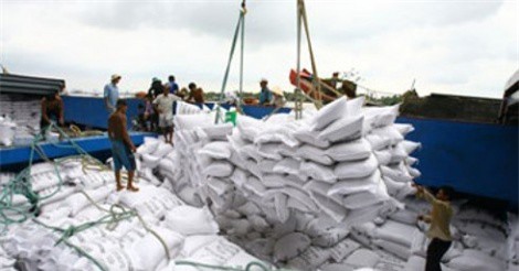 Xuất khẩu gạo năm 2018 có nhiều tín hiệu khả quan