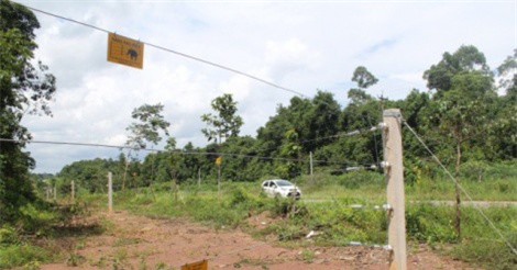 Chuyển giao hàng rào điện bảo vệ voi cho các chủ rừng