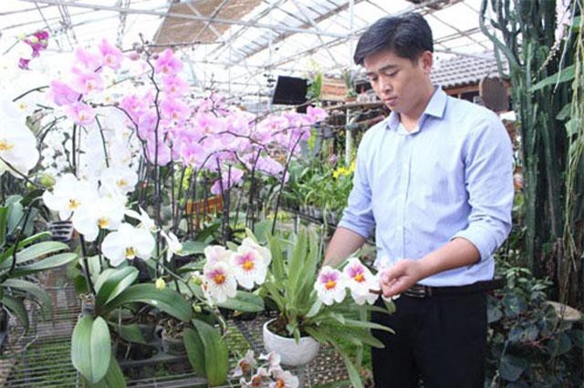 Đẹp ngất ngây vườn lan thu 10 tỷ/năm ở Đà Lạt