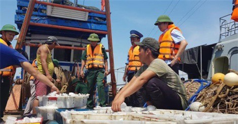 Liên tiếp bắt giữ nhiều tàu giã cào tận diệt hải sản tại Hà Tĩnh