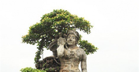 Xôn xao “cây Thạch Sanh” được báo giá hơn 4 tỷ đồng ở Hải Dương