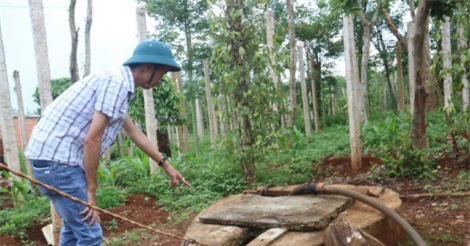 Giếng nước ăn nghi bị đổ thuốc sâu đầu độc, nữ sinh lớp 8 phải nhập viện