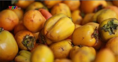 Lâm Đồng có thêm nhãn hiệu hồng Đà Lạt