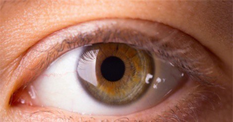 Nhận diện những mối nguy hiểm của nắng nóng