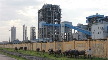 Chưa thoát lỗ, Đạm Ninh Bình lại bị thúc các khoản nợ quá hạn