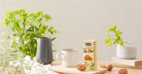 Làn sóng sữa hạt - xu thế mới hấp dẫn giới trẻ