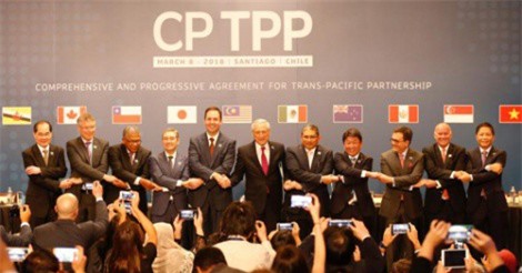 Thứ trưởng Công Thương: Doanh nghiệp Việt đừng sợ khi vào CPTPP