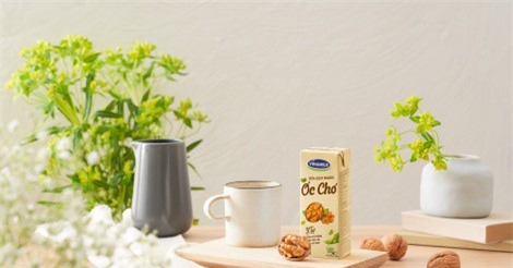 Xu thế sữa hạt trong thời đại xanh