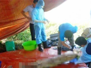 Cái chết bất thường của nữ kế toán: Những tình tiết “giật mình” từ cuộc khai quật