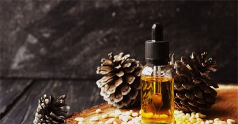 Lợi ích đáng ngạc nhiên của vỏ cây thông