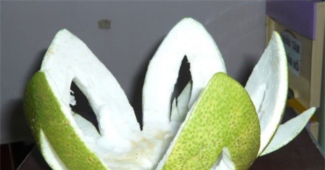 Kh&#xE1;m ph&#xE1; c&#xF4;ng d&#x1EE5;ng tr&#x1ECB; ho &#x111;&#x1EDD;m, vi&#xEA;m da c&#x1EE7;a v&#x1ECF; b&#x1B0;&#x1EDF;i