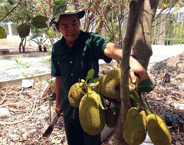 Kỳ diệu lão nông xây "biệt phủ" hoành tráng nhờ nuôi tôm, trồng cây