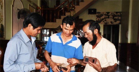 Sản xuất tiêu sạch: Hướng đi “đột phá” trước thảm cảnh giá "vàng đen" lao dốc