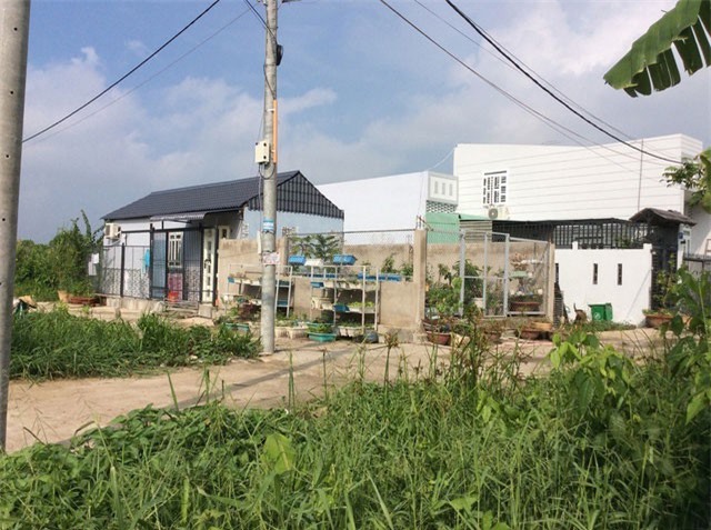 Cần Thơ: Tạm ngưng chuyển đổi mục đích sử dụng đất ở khu dân cư tự phát