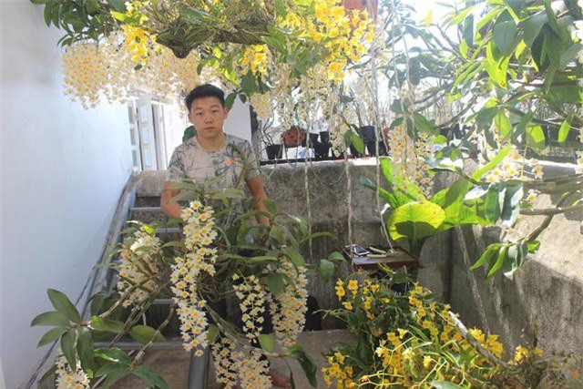 Mê lan rừng từ nhỏ, chàng quản lý 9x sở hữu vườn lan “khủng” 