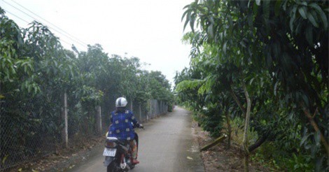 Phó Chủ tịch TP duyệt sai đền bù đất cho người thân… bị mất chức