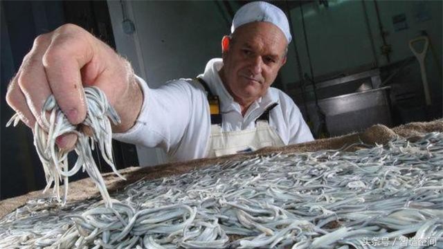 Xấu xí lại không có mùi vị nhưng thực phẩm này lại có giá 26,6 triệu đồng/kg