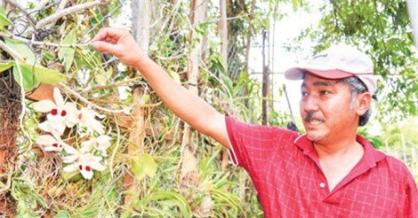 Tay chơi bậc nhất: Vườn lan rừng nhất Việt Nam, thuyền độc mộc lớn chưa từng có