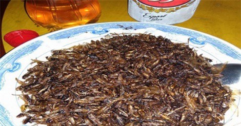 Đặc sản Tây Bắc khiến kẻ sợ người mê