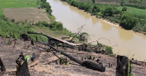 &#x110;&#x1EC3; x&#x1EA3;y ph&#xE1; r&#x1EEB;ng t&#x1EA1;i Khu b&#x1EA3;o t&#x1ED3;n thi&#xEA;n nhi&#xEA;n, 4 c&#xE1;n b&#x1ED9; ki&#x1EC3;m l&#xE2;m b&#x1ECB; k&#x1EF7; lu&#x1EAD;t