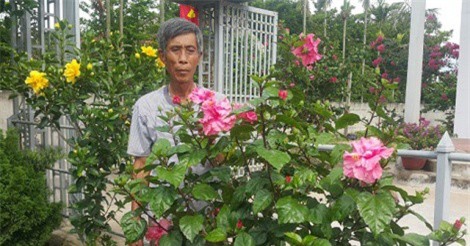 Lạ mà hay: Trồng hoa chơi chơi mà lại rủng rỉnh tiền tiêu