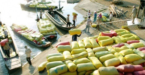 Nông sản Việt Nam "vượt khó" vào thị trường Trung Quốc