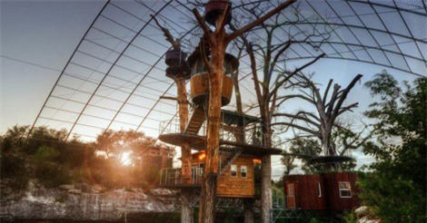 "Đi khắp thế gian" ngắm những căn nhà cây đẹp mê hồn