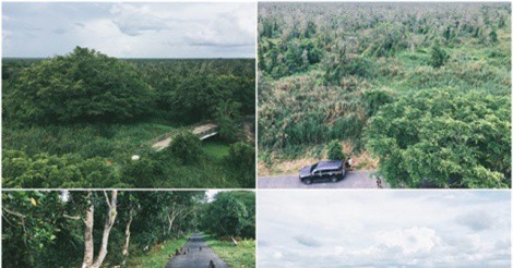 Tới phim trường Đất phương nam "trốn nóng" ngày Hè