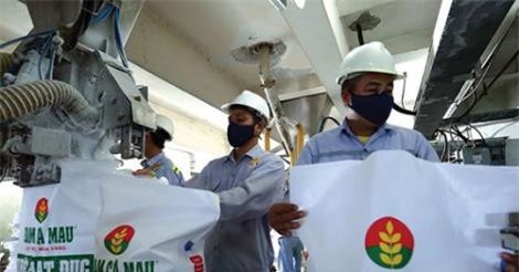 Đạm Cà Mau mục tiêu lãi trước thuế 685 tỷ đồng