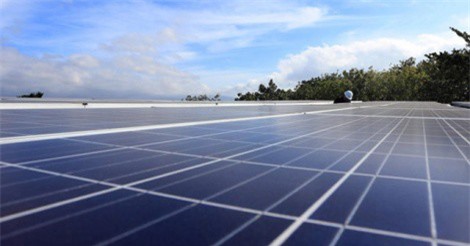 Khởi công dự án điện mặt trời lớn nhất Việt Nam