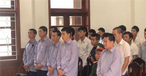 Phá rừng pơ mu ở Nam Giang, cựu phó đồn biên phòng lãnh 4 năm tù