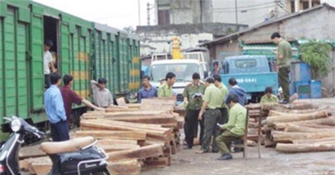 Truy tố nguyên 3 cán bộ hải quan trong đường dây buôn lậu gỗ