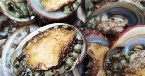 Ba món hải sản nhất định phải thử trên đảo Cô Tô