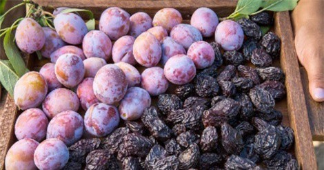 Bất ngờ với công dụng của mận, đào trong điều trị ung thư vú