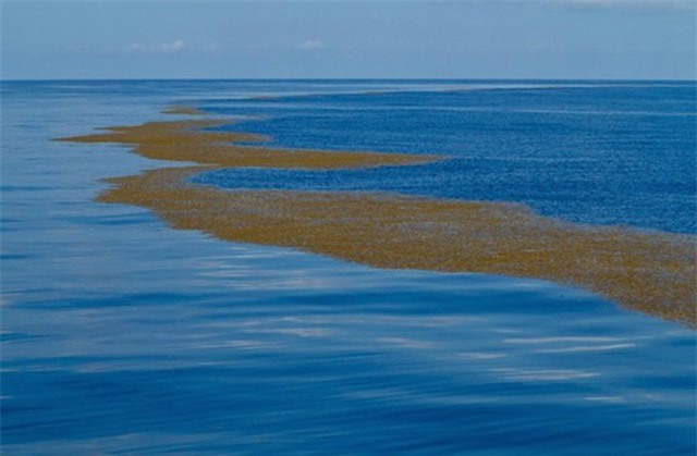 Bí ẩn về vùng biển duy nhất không có bờ trên thế giới