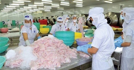 Lỗ chồng lỗ ở HVG