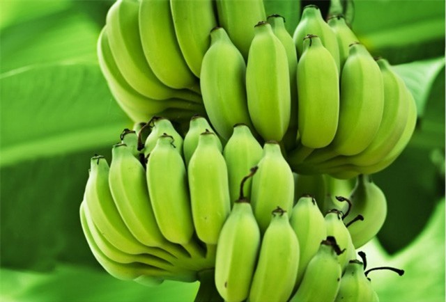 Bất ngờ với công dụng làm đẹp của chuối xanh