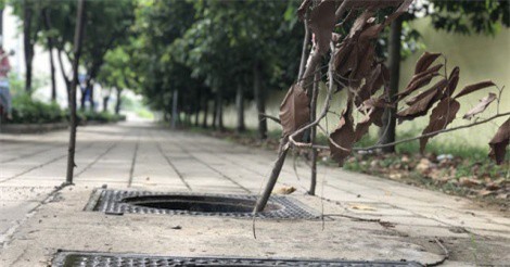 Khắc phục tạm những hố ga bị mất nắp trên đại lộ đẹp nhất Sài Gòn