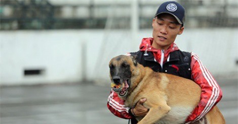 Ly kỳ thú chơi chó chăn cừu có giá ngang ô tô của đại gia Hà Thành