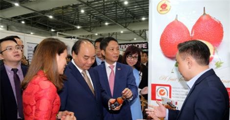 Thủ tướng quan tâm hỗ trợ phát triển Thương hiệu Việt