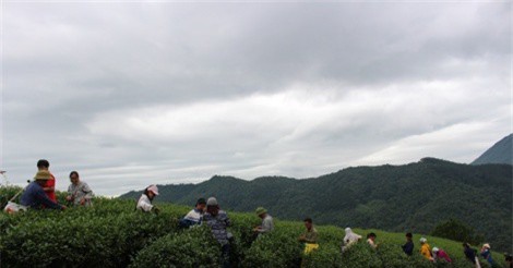 Nông nghiệp phát triển, nông thôn khởi sắc