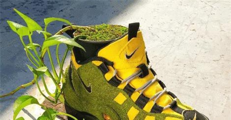 Công dụng bất ngờ của những chiếc giày bỏ đi