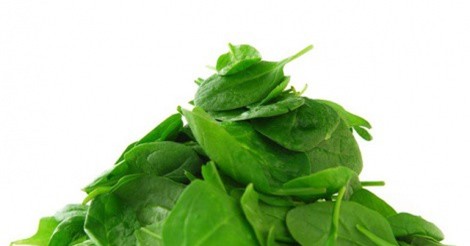 Lợi ích vàng của rau mồng tơi ai lười ăn rau này phải tiếc "hùi hụi"