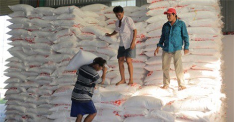 Nông dân bán mía phải nhận đường vì nhà máy nợ hơn 100 tỷ đồng