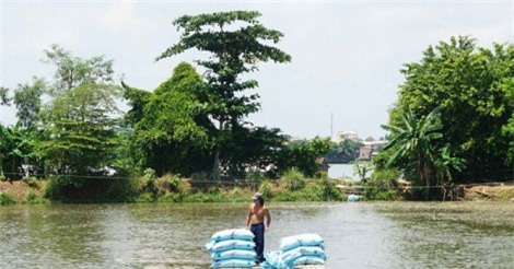 Công nghệ mới nuôi cá tra bền vững