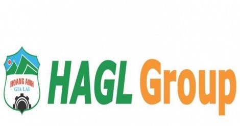 HAG lên kế hoạch lãi 200 tỷ năm 2018, kỳ vọng lớn vào chuối