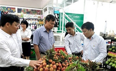 Hệ thống bán lẻ Saigon Co.op nhập hơn 400 tấn vải thiều VietGAP