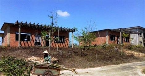 Thiên Đàng thành "địa ngục" nuôi bò