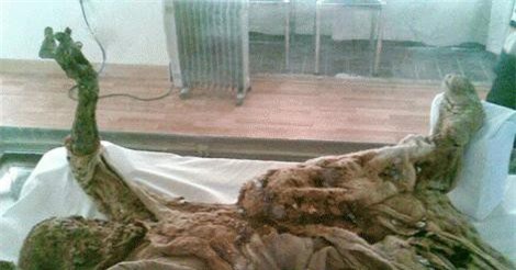 Giải mã xác ướp “người muối” còn nguyên vẹn đến ngỡ ngàng