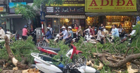 Hà Nội: Cây cổ thụ bật rễ, đè trúng 5 người trên phố Quán Sứ